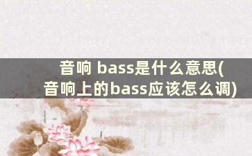 音响 bass是什么意思(音响上的bass应该怎么调)